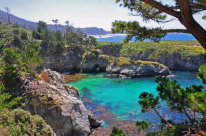 8-7 - Point Lobos State Park