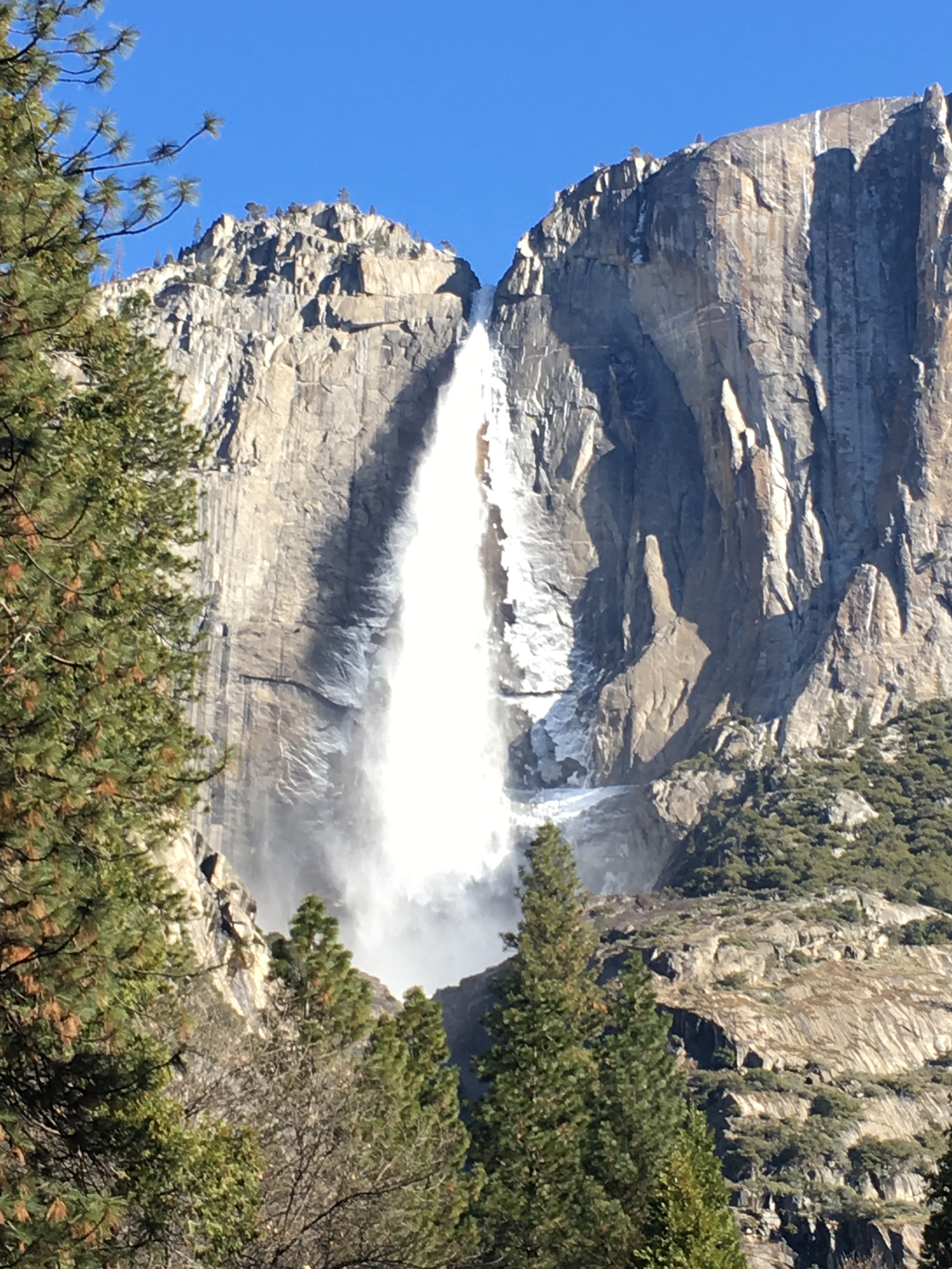 The Essential Yosemite